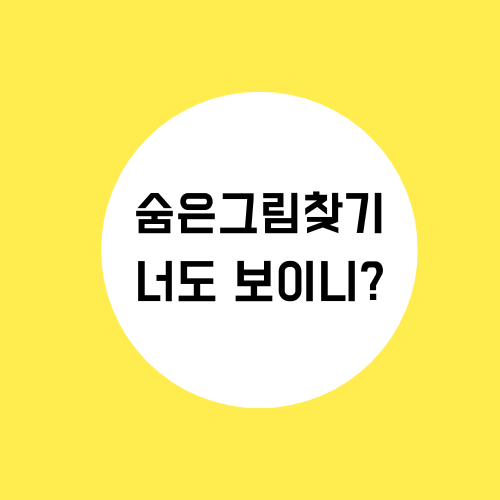 숨은 그림 찾기 책 놀이