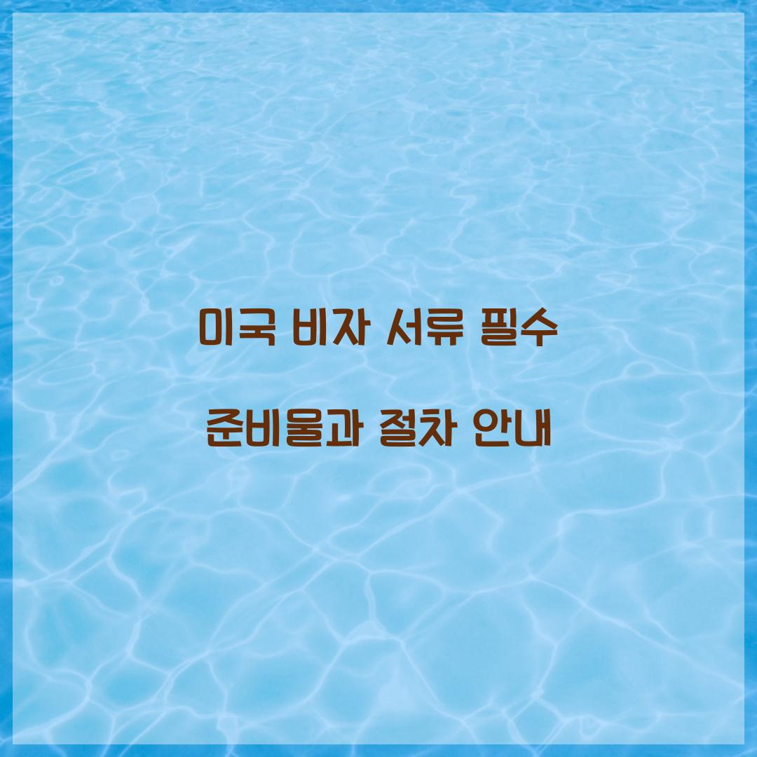 미국 비자 서류