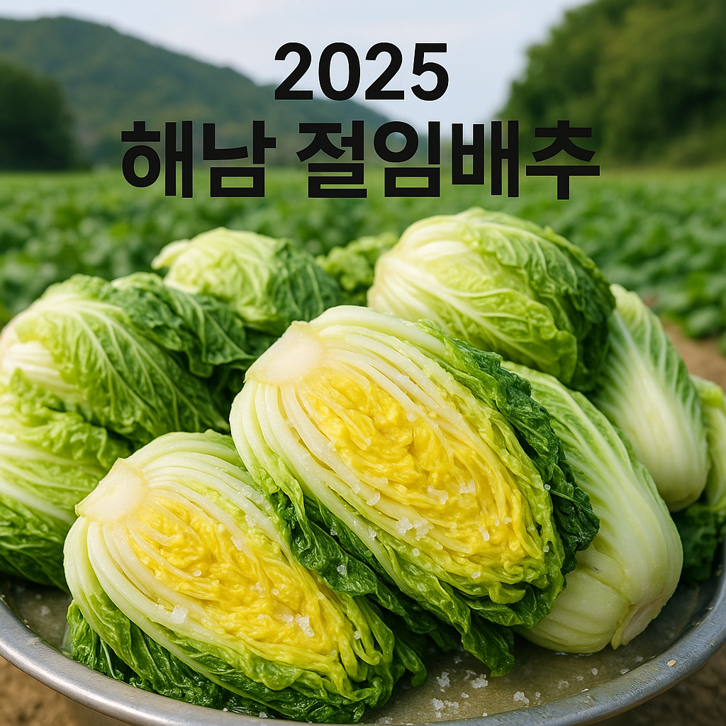 2025 절임배추 공동구매로 20% 절약 가격&middot;배송&middot;신청방법 총정리