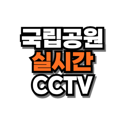 국립공원 실시간 cctv 모바일