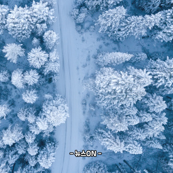 12월에 가볼만한 국내 여행지