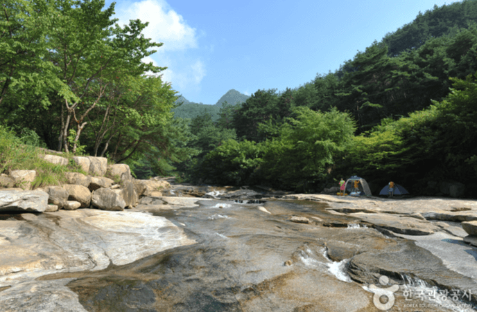 곡성군 도림사계곡