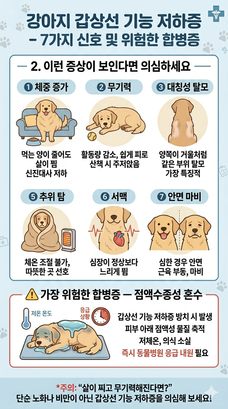 강아지 갑상선 기능 저하증- 7가지 신호