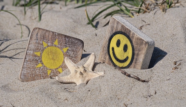 태양 모래 해변