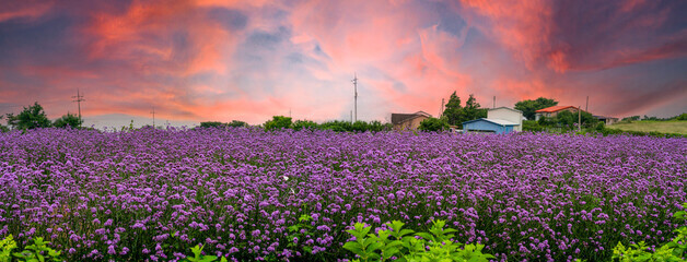 5월에도 사람 적은 국내 조용한 힐링 여행지 TOP 5