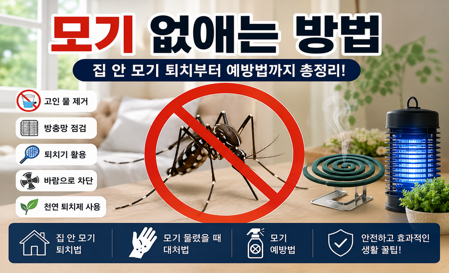 모기 없애는 방법과 모기 퇴치 예방법 대표 이미지