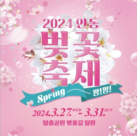안동 벚꽃축제