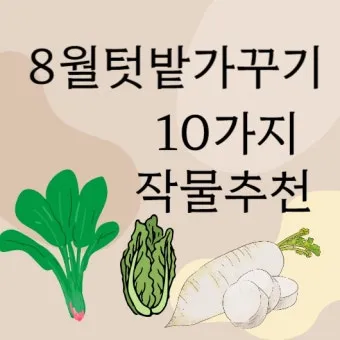 8월에 심는 작물 종류와 늦기 전 파종법 추천_11