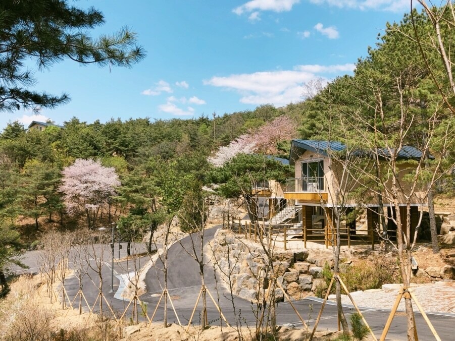 철원 두루웰 숲속문화촌