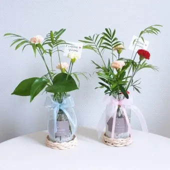 카네이션 재배 삽목 번식 거름 주기 연중 개화_7