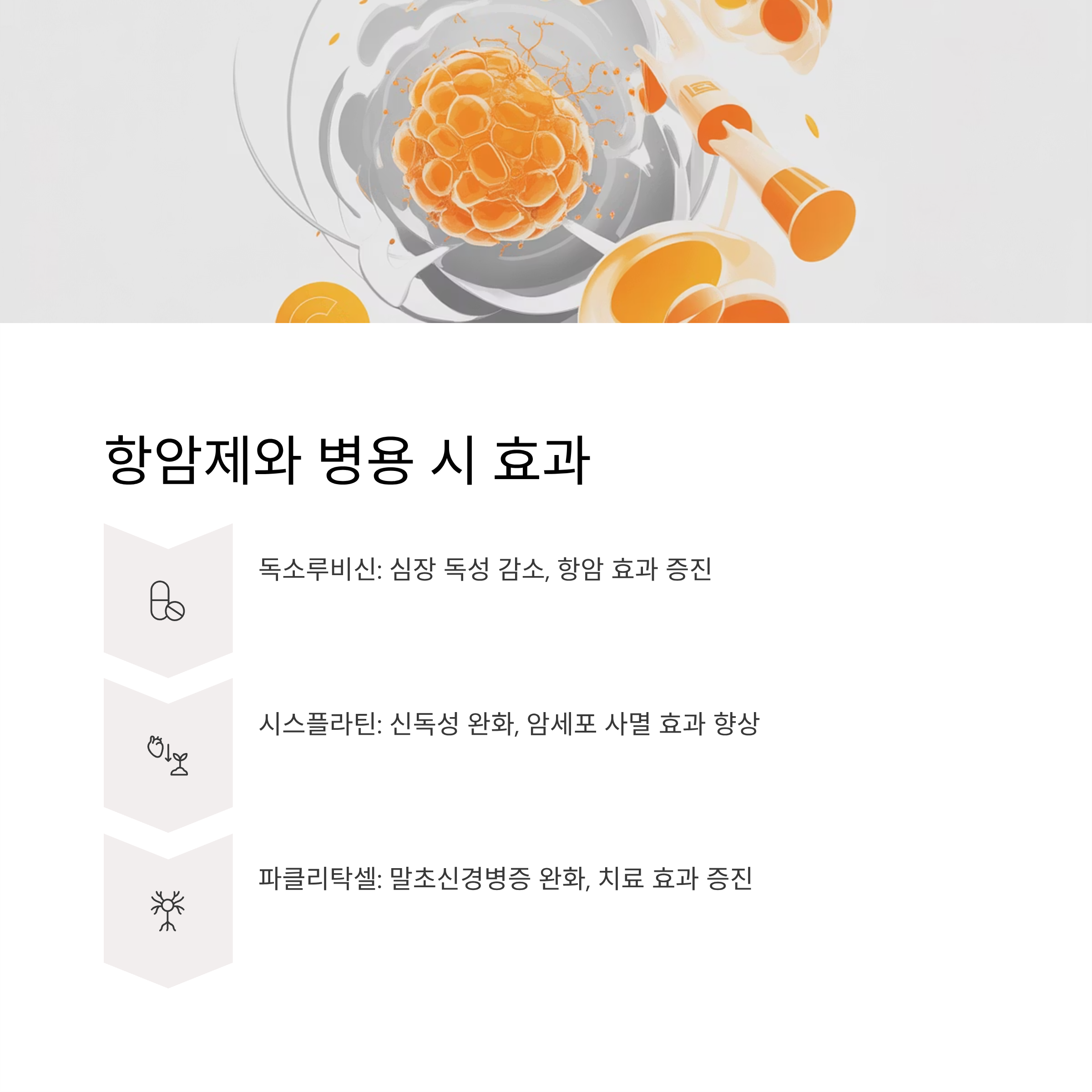 고농도 비타민C 주사 치료와 항암제 병용효과