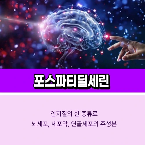 포스파티딜세린