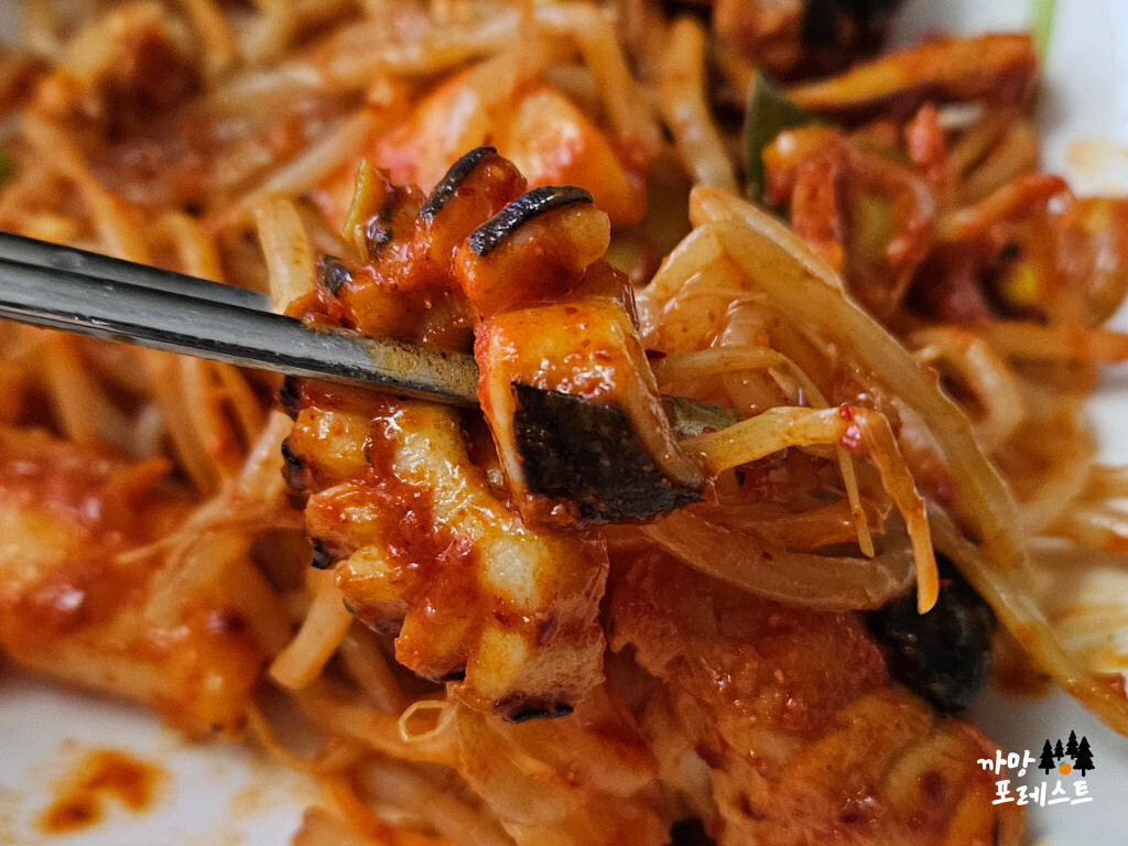 동해물과 아구찜 오징어