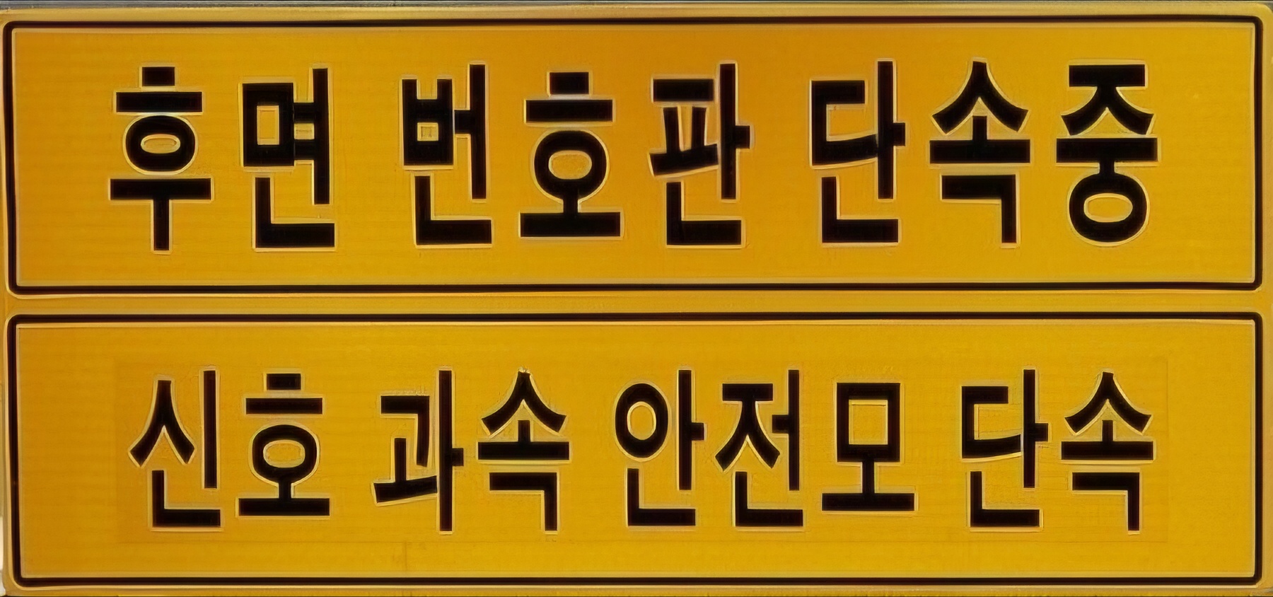 대구광역시의 후면단속카메라 시범 종료 및 정상 단속