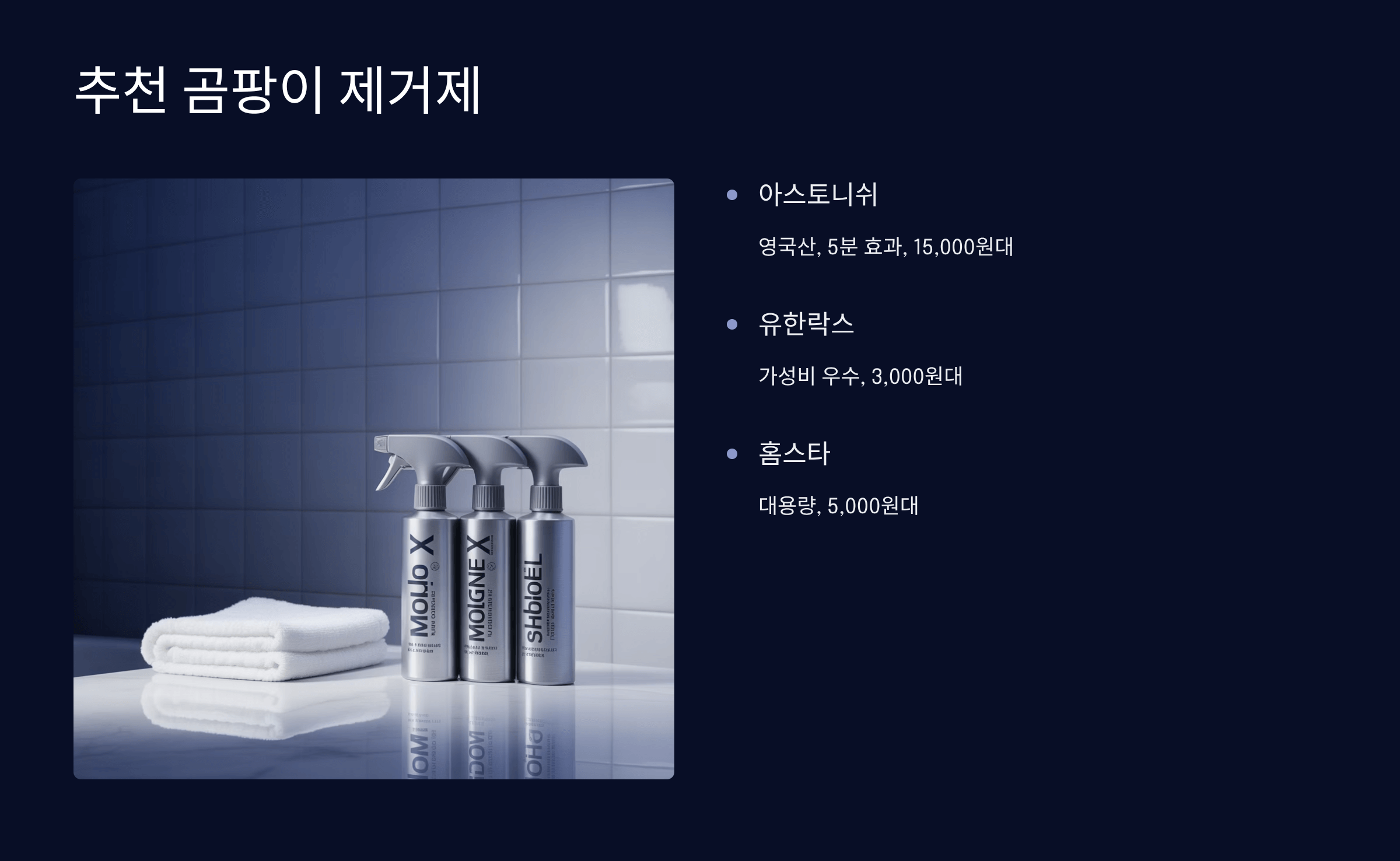 효과 빠른 곰팡이 제거제 추천