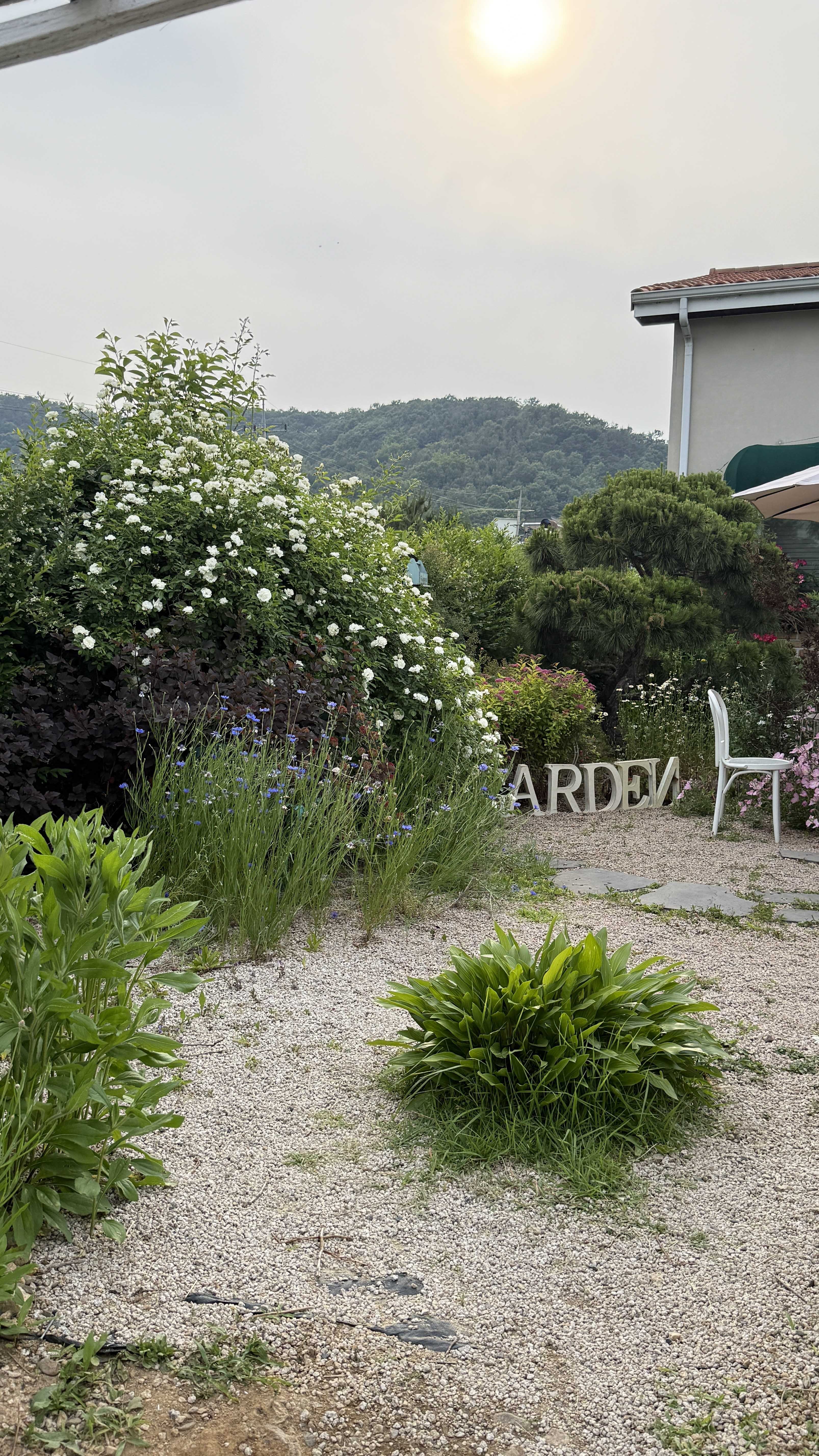 용인장미정원카페