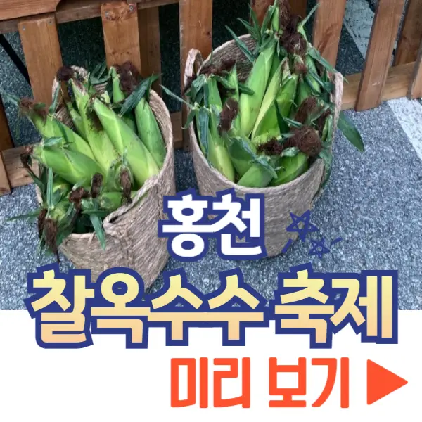 홍천 찰옥수수 축제