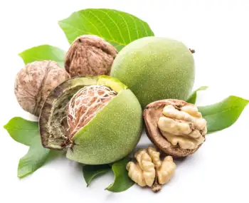 호두 효능 및 영양성분&amp;#44; 주의점