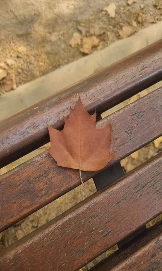 명달공원