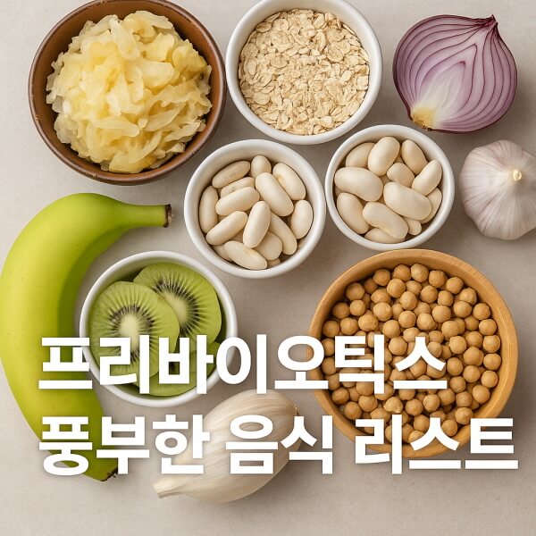 프리바이오틱스 풍부한 음식 리스트/gpt