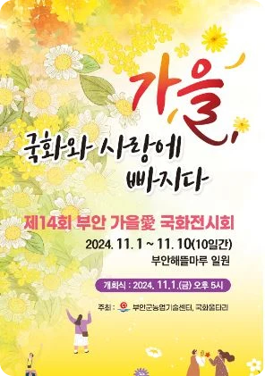 전북 11월 축제 일정 가볼만한 곳