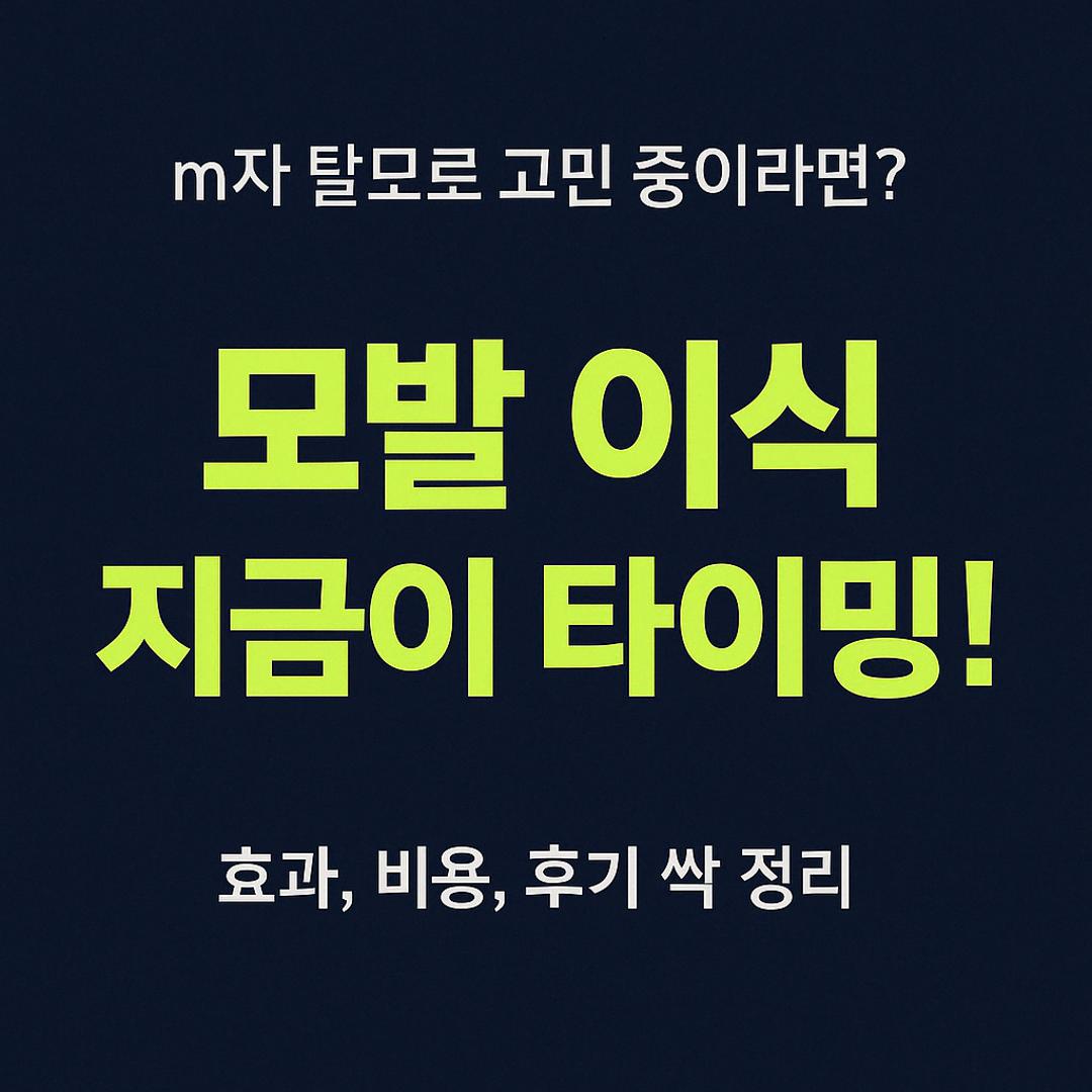모발이식 문구 사진