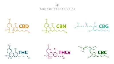 대마종자유 효능&amp;#44; 햄프씨드 식물성 오일로 먹자! 이제는 모두가 건강에 관심이 많다 보니 관리 또한 똑똑하게 합니다. 
