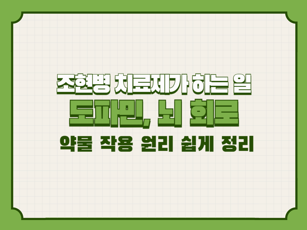 조현병 치료제가 하는 일 &ndash; 도파민, 뇌 회로, 약물 작용 원리 쉽게 정리