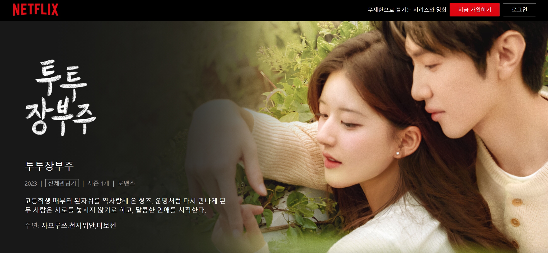 넥플릭스 투투장부주