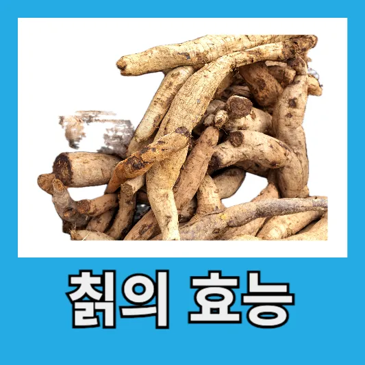 칡의 효능