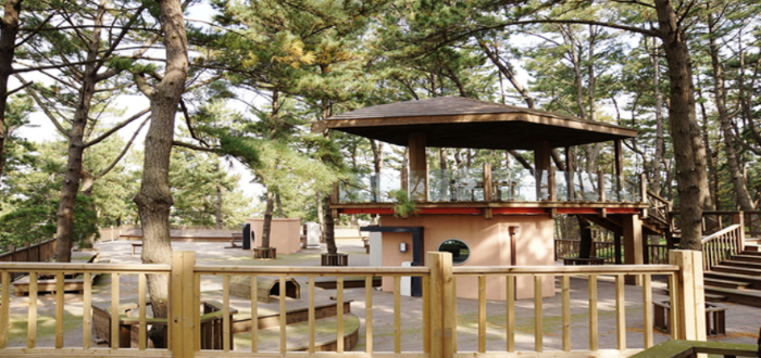 청산도 배 시간표, 여객선 운항 노선, 청산도표 예약