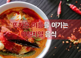 이열치열 뜻 예문 반대말 사자성어 정리_9