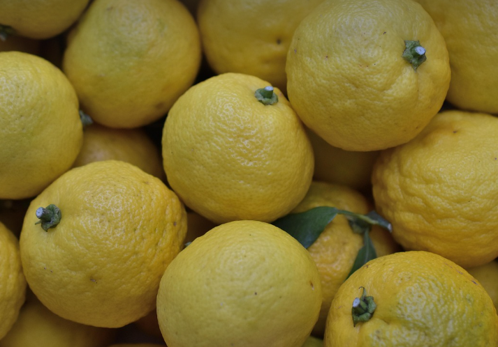 과일 유자를 모아 찍었다