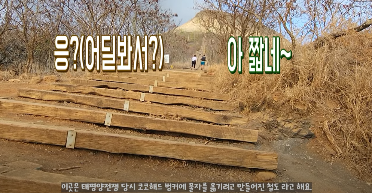 코코헤드-트레일