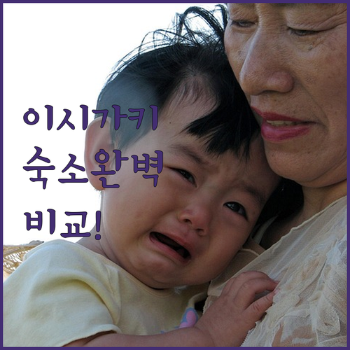 이시가키 리조트 빌라 호텔 비교 추천..