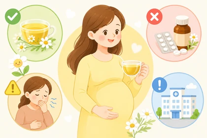 임산부 카모마일 섭취 가능 여부 확인 기준10