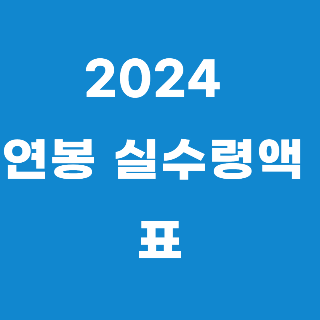 2024 연봉 실수령액 표