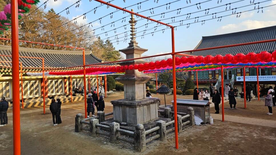 남양주 봉선사 : 광릉 숲의 정기와 세조의 넋이 머무는 천년고찰 광릉 숲 연꽃 힐링