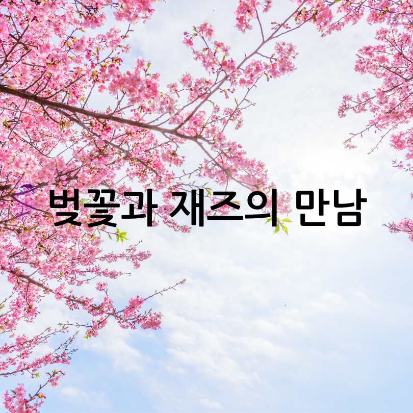 2025 정읍벚꽃축제