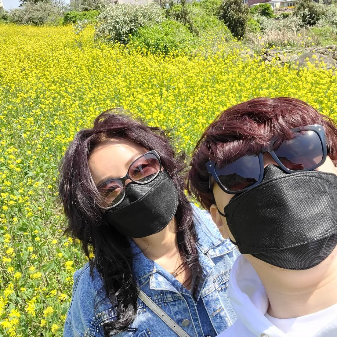 3월 봄꽃 축제 하는곳 봄꽃 여행지