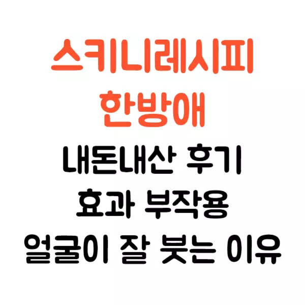 스키니레시피 한방애 내돈내산 후기, 한방차 효과는