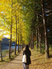 남이섬 어쿠스틱 청춘 페스티벌 총 정리