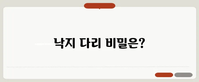 낙지 다리개수 정리 누구나 쉽게 가능