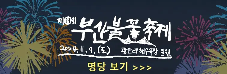 부산불꽃축제 명당 추천, 교통통제 정보