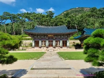 서울 대표 사찰 5곳을 소개하는 종합 여행 가이드_2