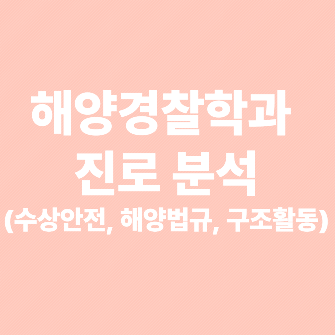 해양경찰학과 진로 분석 (수상안전, 해양법규, 구조활동)썸네일