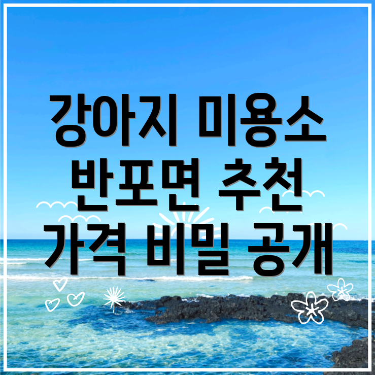 강아지 미용실 가격