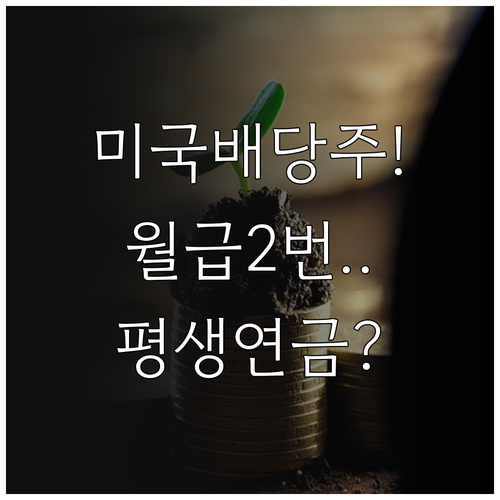 미국 배당주 투자 방법 월급처럼 받는..