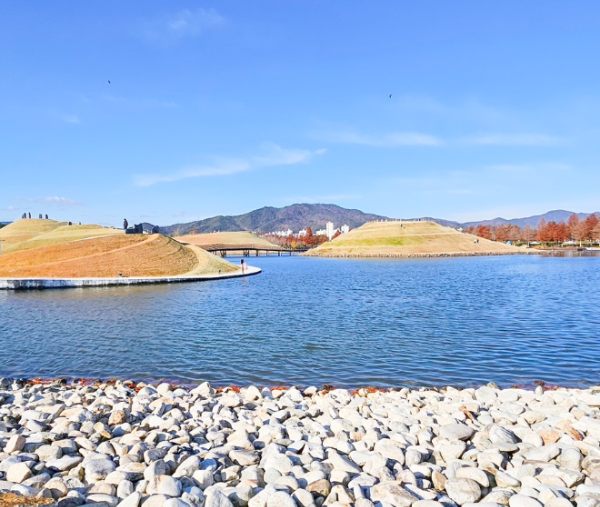 애견동반겨울여행지