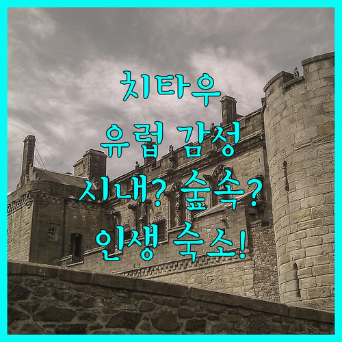 치타우 시내 중심일까 숲속 성일까 당..